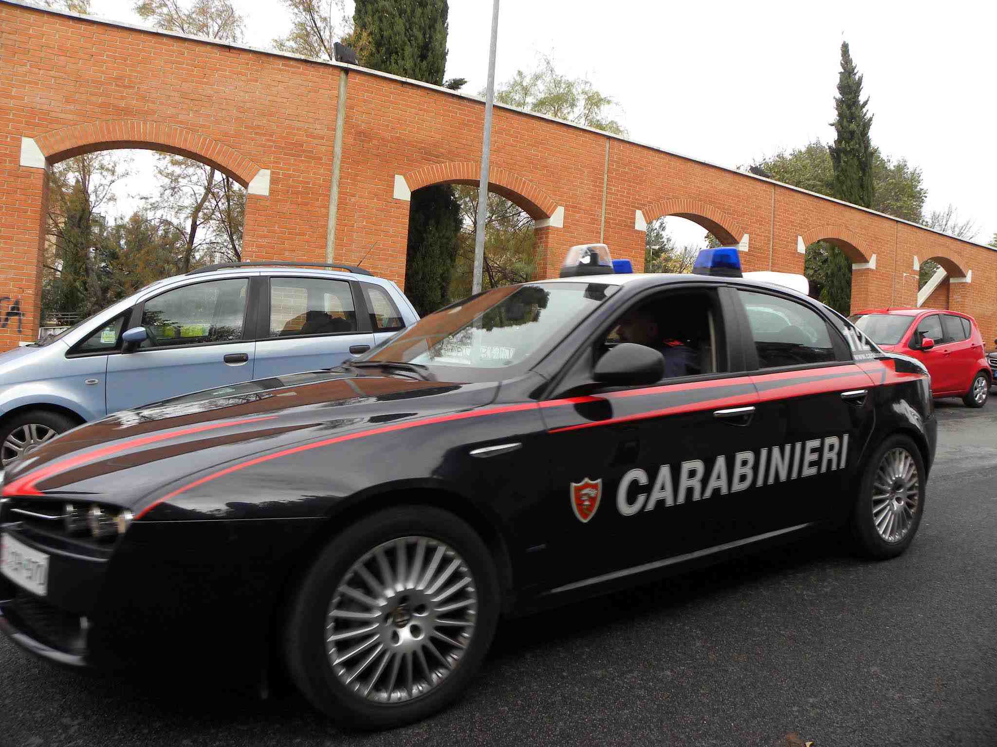 carabinieri pavona